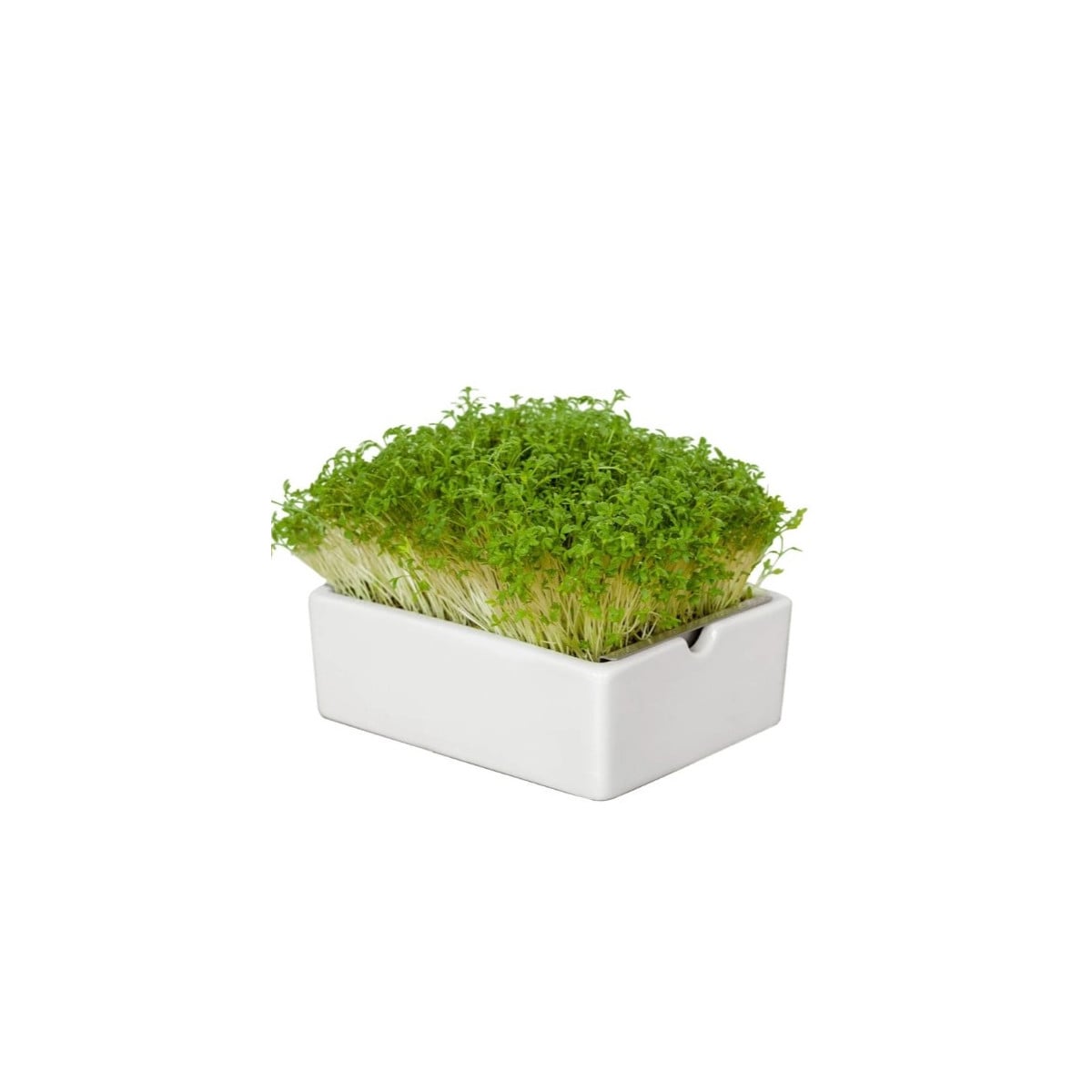 BIO microgreen Řeřicha - Heimgart - náhradní pláty - 1 ks