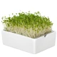 BIO microgreen Brokolice - Heimgart - náhradní pláty - 1 ks