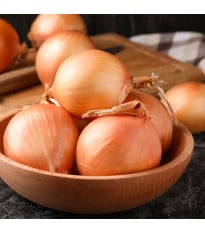 Cibule ozimá Augusta - Allium cepa - semena cibule - 250 ks