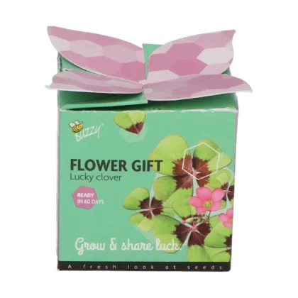 Buzzy Flower Gift - Mini sada pro pěstování čtyřlístku - Pieterpik - 1 ks