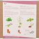 Buzzy Garden Gift - Dárková sada Čajová zahrádka - Pieterpik - 1 balení