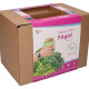 Buzzy Garden Gift - Dárková sada Fit zahrádka - Pieterpik - 1 balení