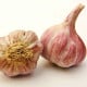 Sadbový česnek Slavin II - Allium sativum - paličák - 1 balení