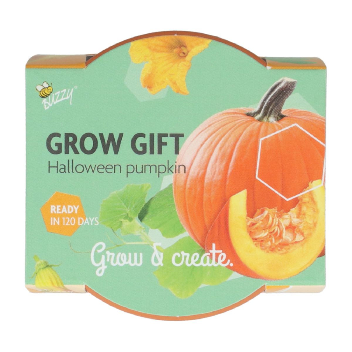 Mini sada pro pěstování dýně - Buzzy Grow Gifts - Pieterpik - 1 ks
