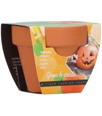 Mini sada pro pěstování dýně - Buzzy Grow Gifts - Pieterpik - 1 ks