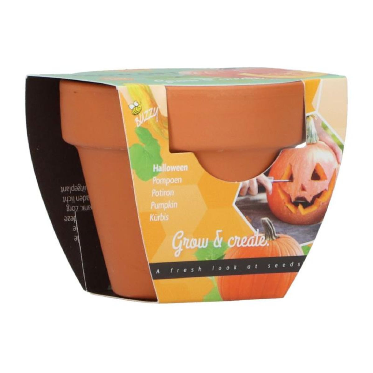 Mini sada pro pěstování dýně - Buzzy Grow Gifts - Pieterpik - 1 ks