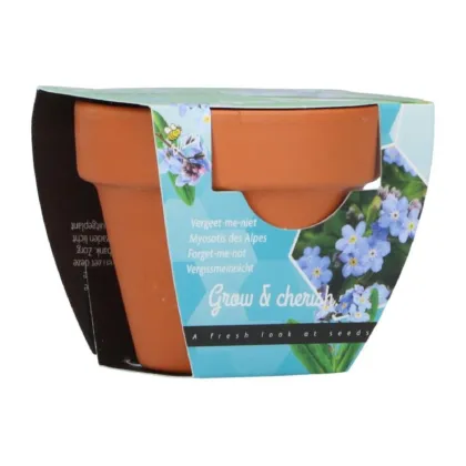 Mini sada pro pěstování pomněnky - Buzzy Grow Gift - Pieterpik - 1 ks
