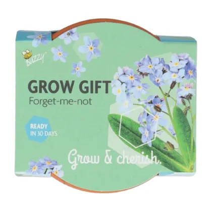 Mini sada pro pěstování pomněnky - Buzzy Grow Gift - Pieterpik - 1 ks