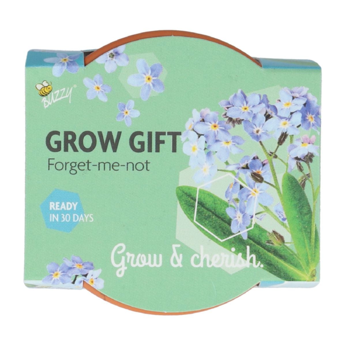 Mini sada pro pěstování pomněnky - Buzzy Grow Gift - Pieterpik - 1 ks