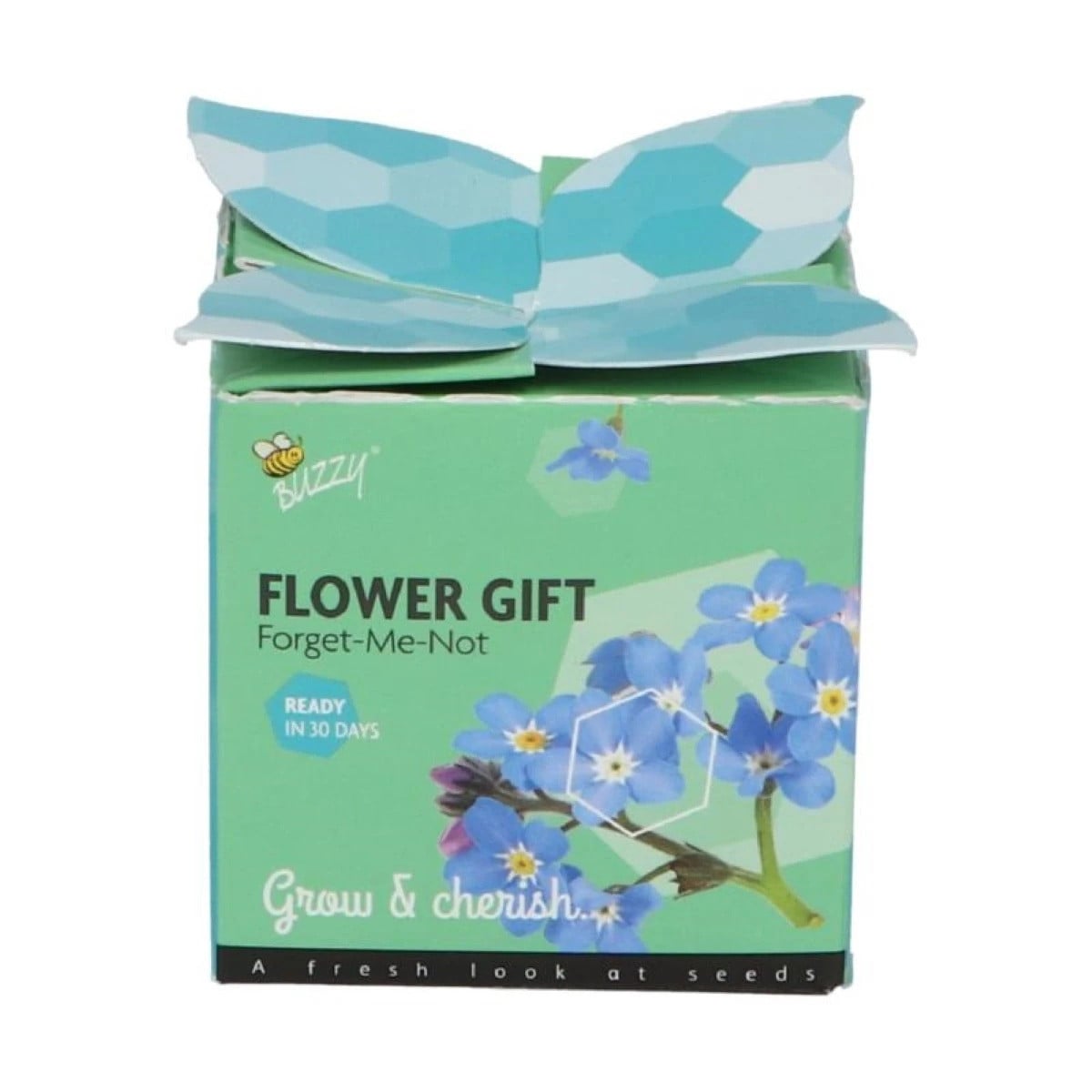 Dárková sada pro pěstování pomněnky - Buzzy Flower Gift - Pieterpik - 1 ks