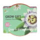 Mini sada pro pěstování mučenky - Buzzy Grow Gift - Pieterpik - 1 ks
