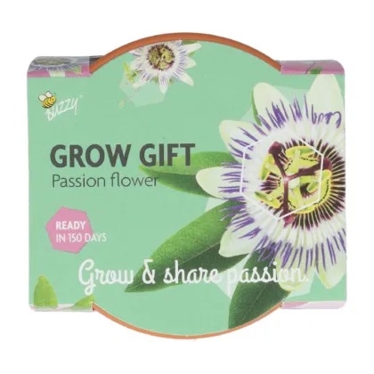 Mini sada pro pěstování mučenky - Buzzy Grow Gift - Pieterpik - 1 ks