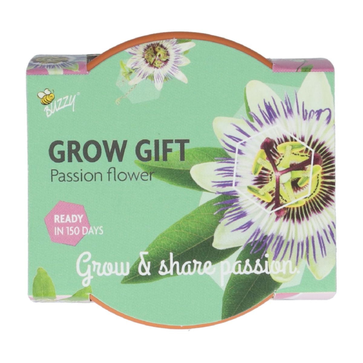 Mini sada pro pěstování mučenky - Buzzy Grow Gift - Pieterpik - 1 ks