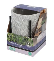 Sada pro pěstování Aloe Vera s květináčem - Buzzy House Plants - Pieterpik - 1 ks