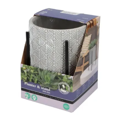 Sada pro pěstování Aloe Vera s květináčem - Buzzy House Plants - Pieterpik - 1 ks