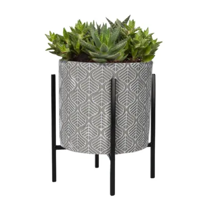 Sada pro pěstování Aloe Vera s květináčem - Buzzy House Plants - Pieterpik - 1 ks