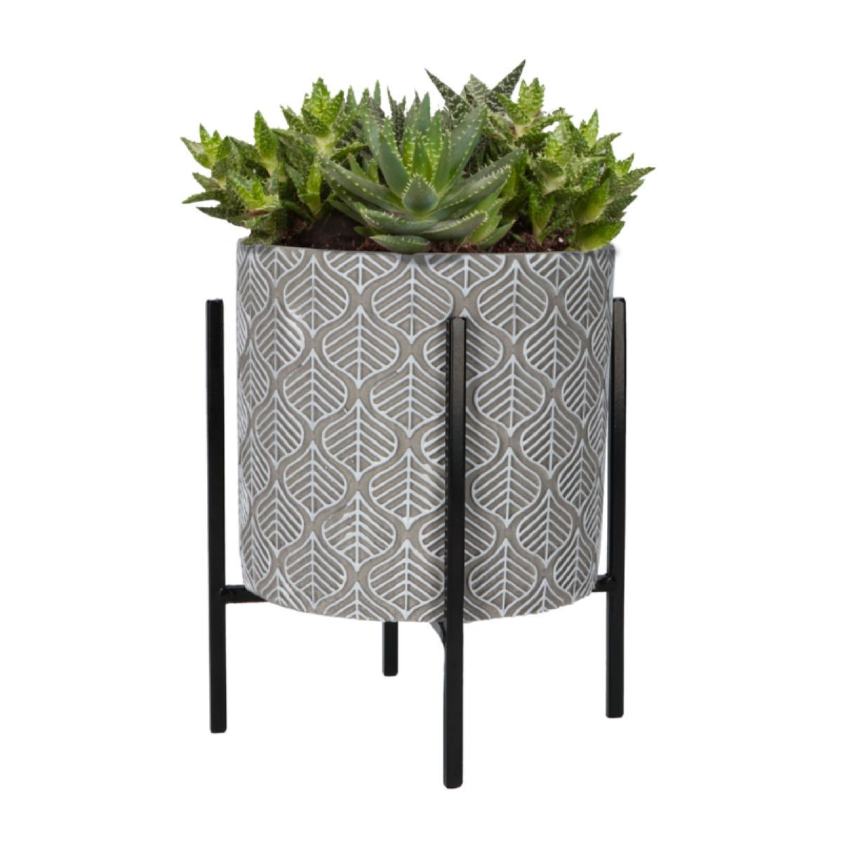 Sada pro pěstování Aloe Vera s květináčem - Buzzy House Plants - Pieterpik - 1 ks