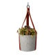 Sada pro pěstování Africké květiny s květináčem - Buzzy House Plants - Pieterpik - 1 ks