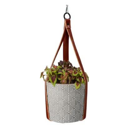 Sada pro pěstování Africké květiny s květináčem - Buzzy House Plants - Pieterpik - 1 ks