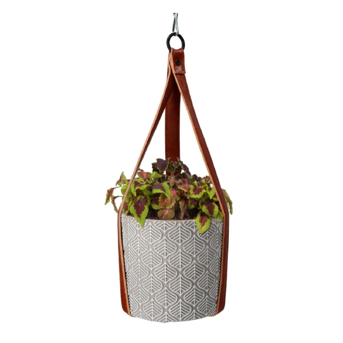 Sada pro pěstování Africké květiny s květináčem - Buzzy House Plants - Pieterpik - 1 ks