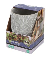 Sada pro pěstování Africké květiny s květináčem - Buzzy House Plants - Pieterpik - 1 ks