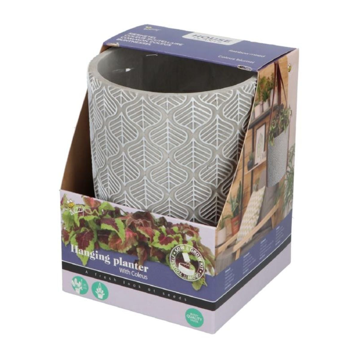 Sada pro pěstování Africké květiny s květináčem - Buzzy House Plants - Pieterpik - 1 ks