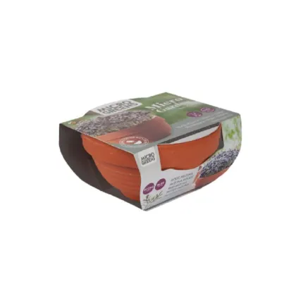 Microgreens - Červená mizuna v terakotové misce - Buzzy - Pieterpik - 1 ks