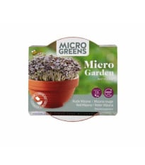 Microgreens - Červená mizuna v terakotové misce - Buzzy - Pieterpik - 1 ks