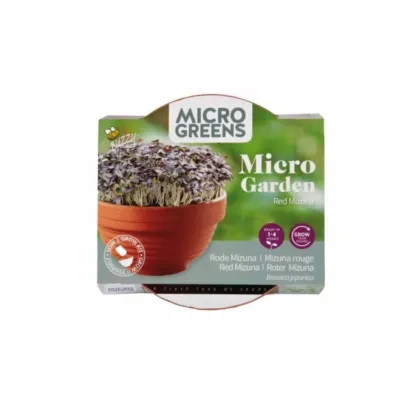 Microgreens - Červená mizuna v terakotové misce - Buzzy - Pieterpik - 1 ks