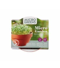 Microgreens - Tatosoi v terakotové misce - Buzzy - Pieterpik - 1 ks