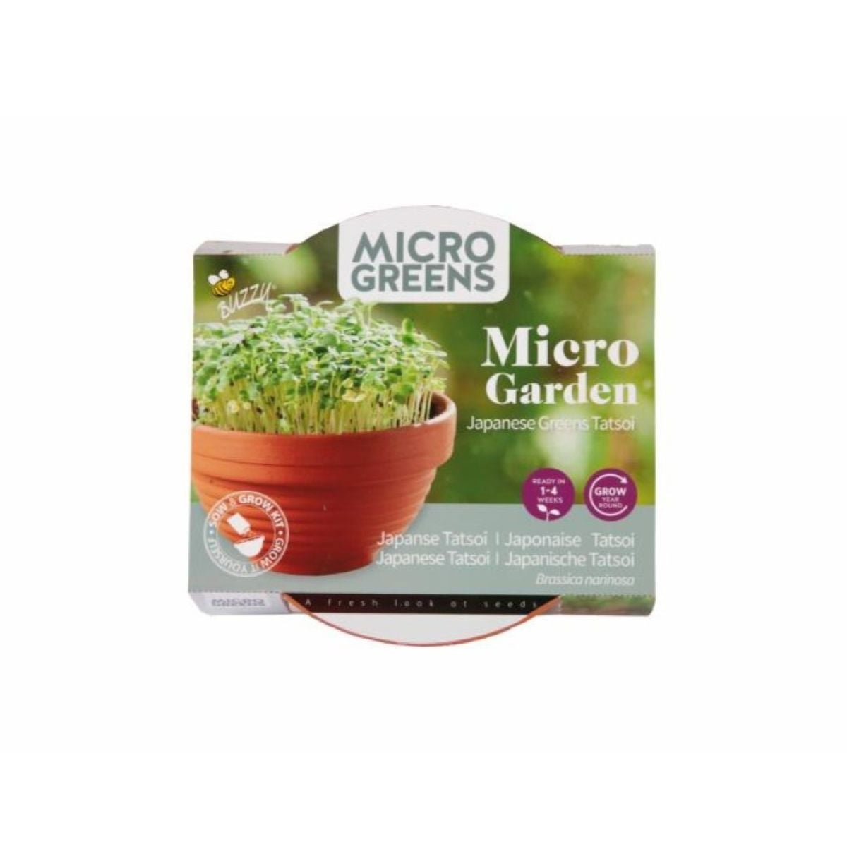 Microgreens - Tatosoi v terakotové misce - Buzzy - Pieterpik - 1 ks