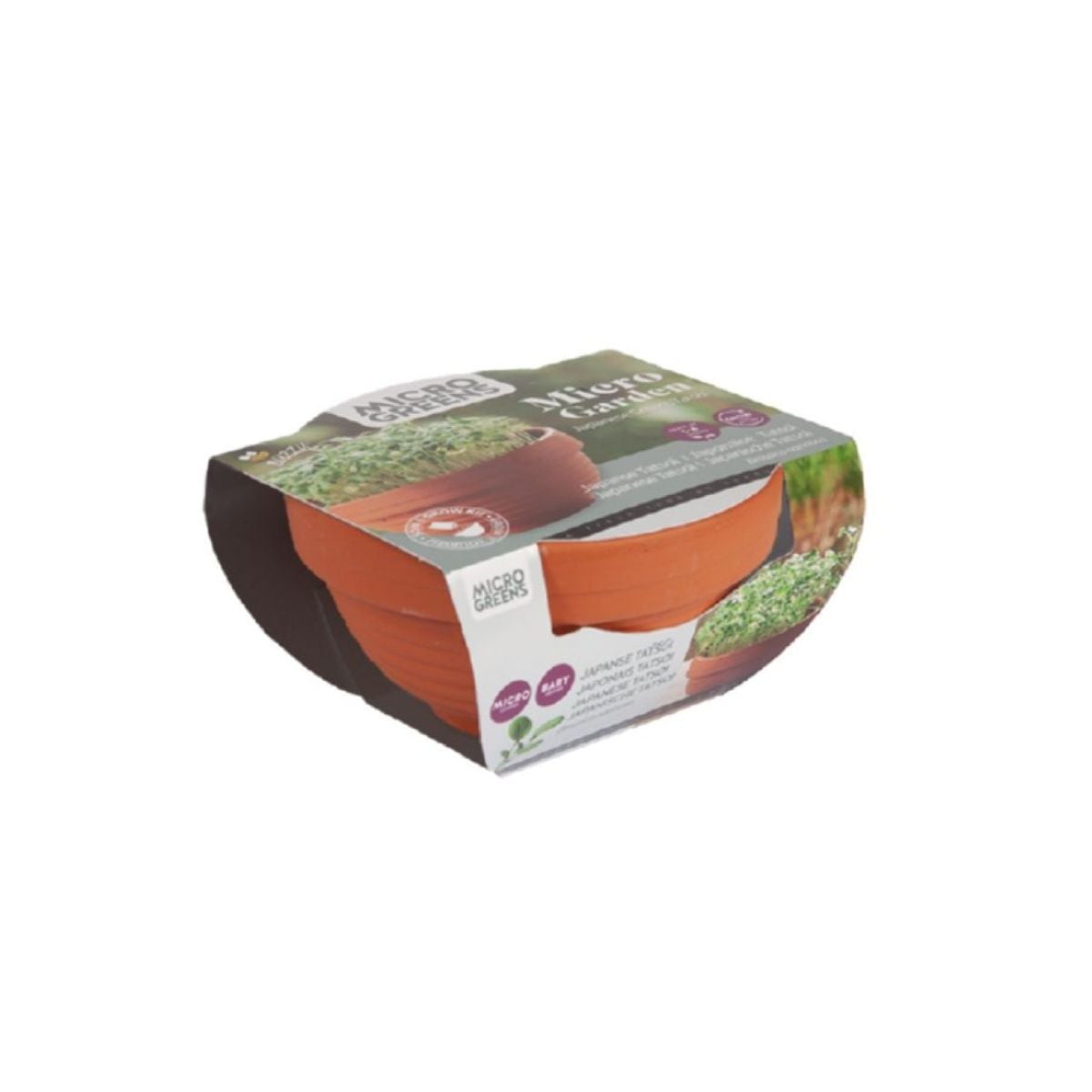 Microgreens - Tatosoi v terakotové misce - Buzzy - Pieterpik - 1 ks
