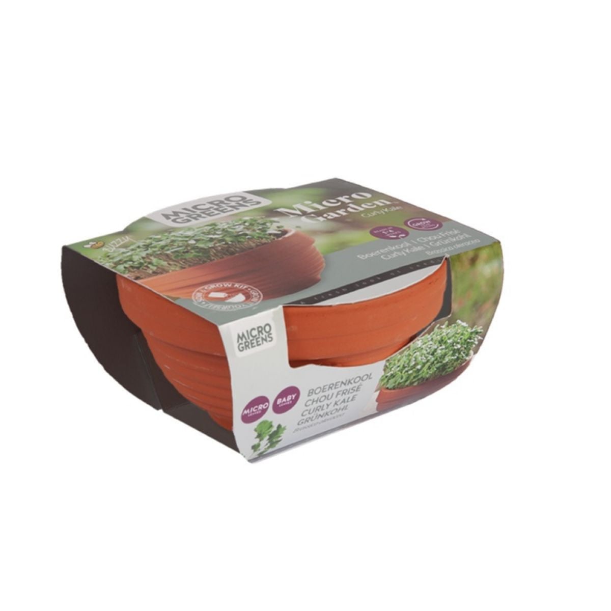 Microgreens - Kadeřávek v terakotové misce - Buzzy - Pieterpik - 1 ks