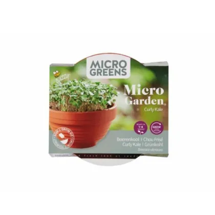 Microgreens - Kadeřávek v terakotové misce - Buzzy - Pieterpik - 1 ks