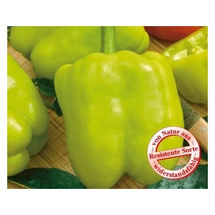 Paprika Monte - Capsicum annuum - prodej semen papriky - kvalitní semena - 5 ks