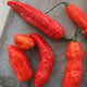 BIO Chilli Naga Jolokia - Capsicum chinense - semena chilli - 8 ks