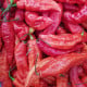 BIO Chilli Naga Jolokia - Capsicum chinense - semena chilli - 8 ks