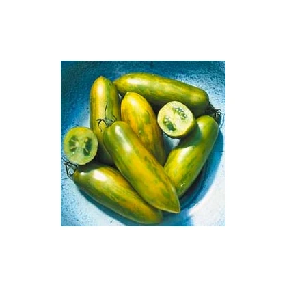 Rajče Párek – Lycopersicon esculentum – semena rajčat