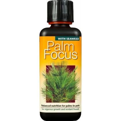 Palm Focus hnojivo pro palmy - 300 ml
