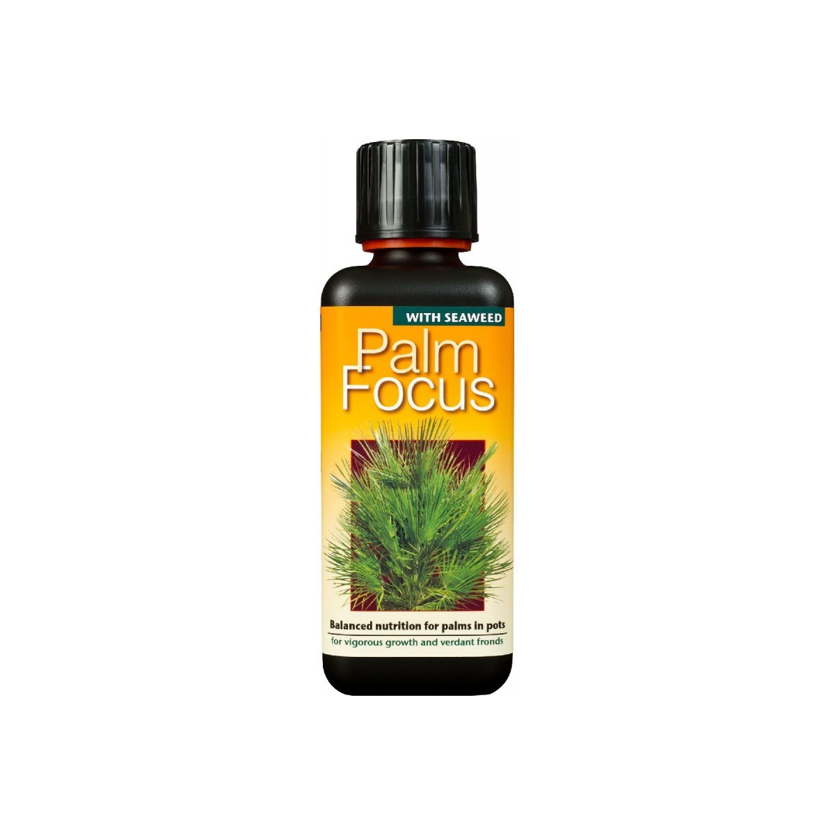 Palm Focus hnojivo pro palmy - 300 ml