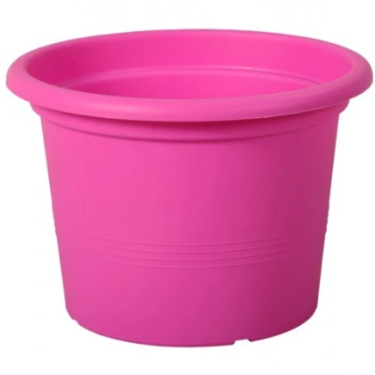 Květník růžový Campanula - d15 x 11 cm - 1 ks