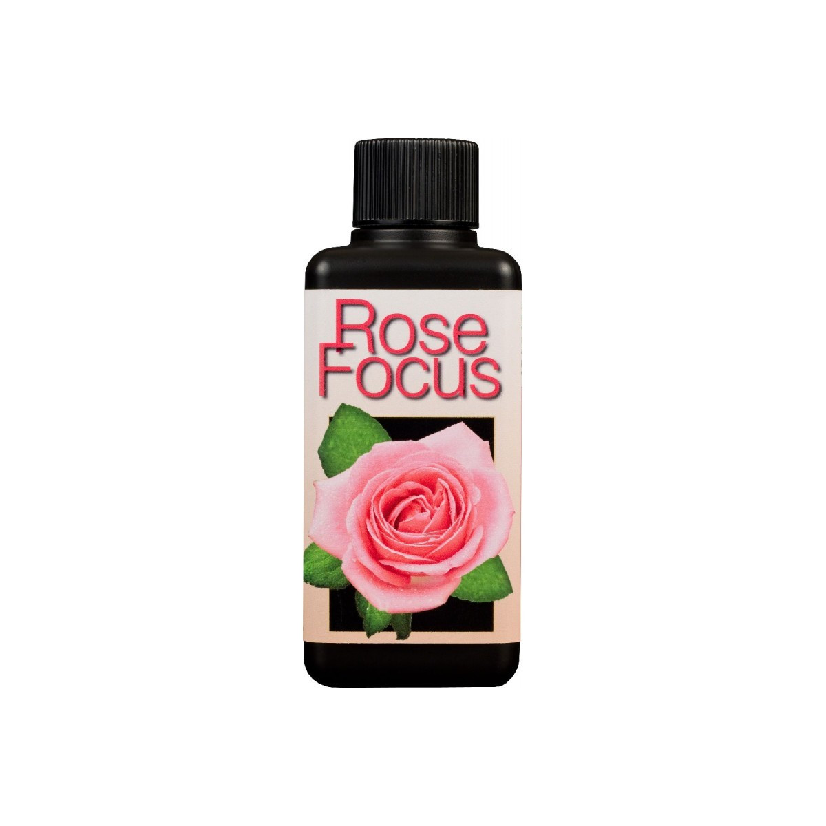 Rose focus - 300 ml