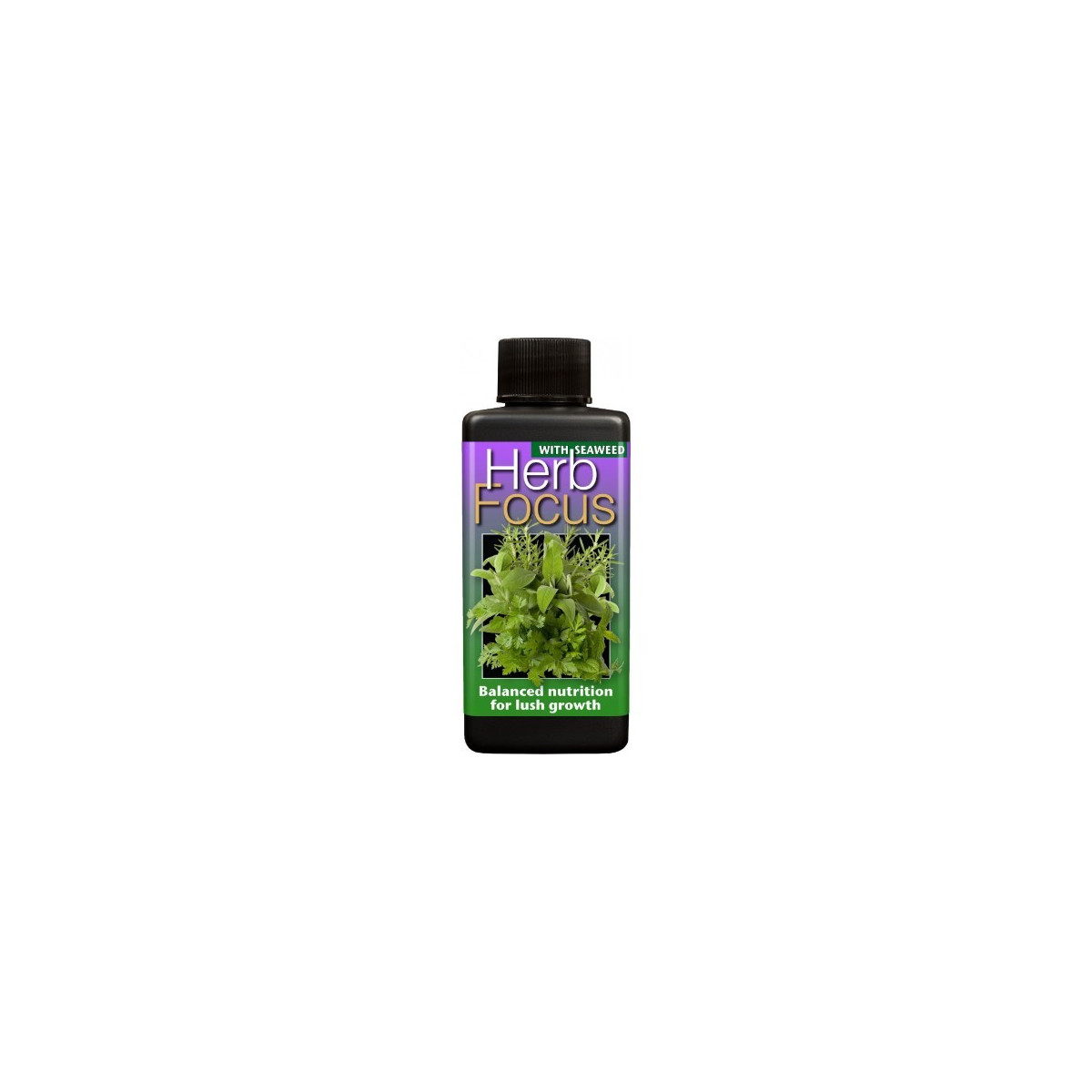 Herb focus - 300 ml