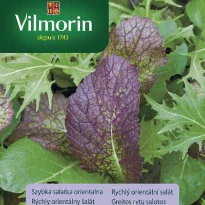 Vilmorin - Rychlý orientální salát - semena - 2 g