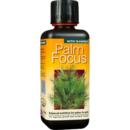  Palm focus - Hnojivo pro palmy - 100 ml