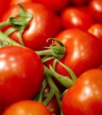 Semena rajčat – tyčkové rajče Mercedes F1 – Lycopersicon lycopersicum
