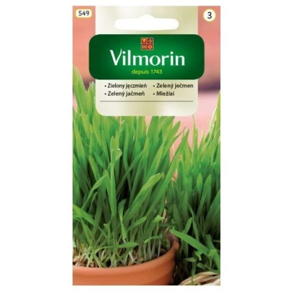 Zelený ječmen - semena na klíčky - 20 g