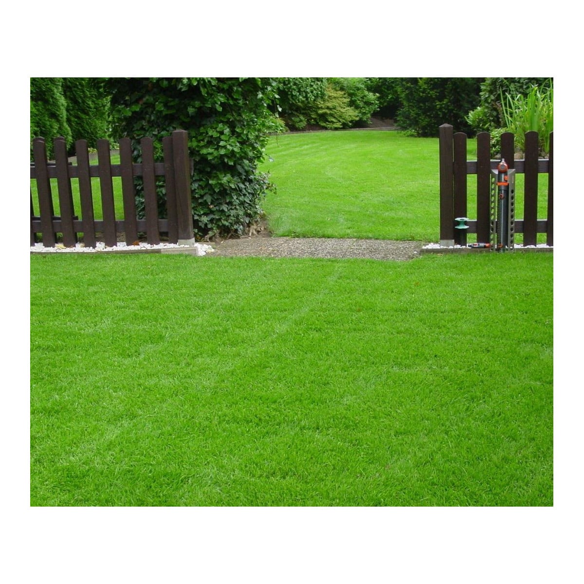 Berliner Tiergarten – kvalitní travní osivo – koupit semena trávy