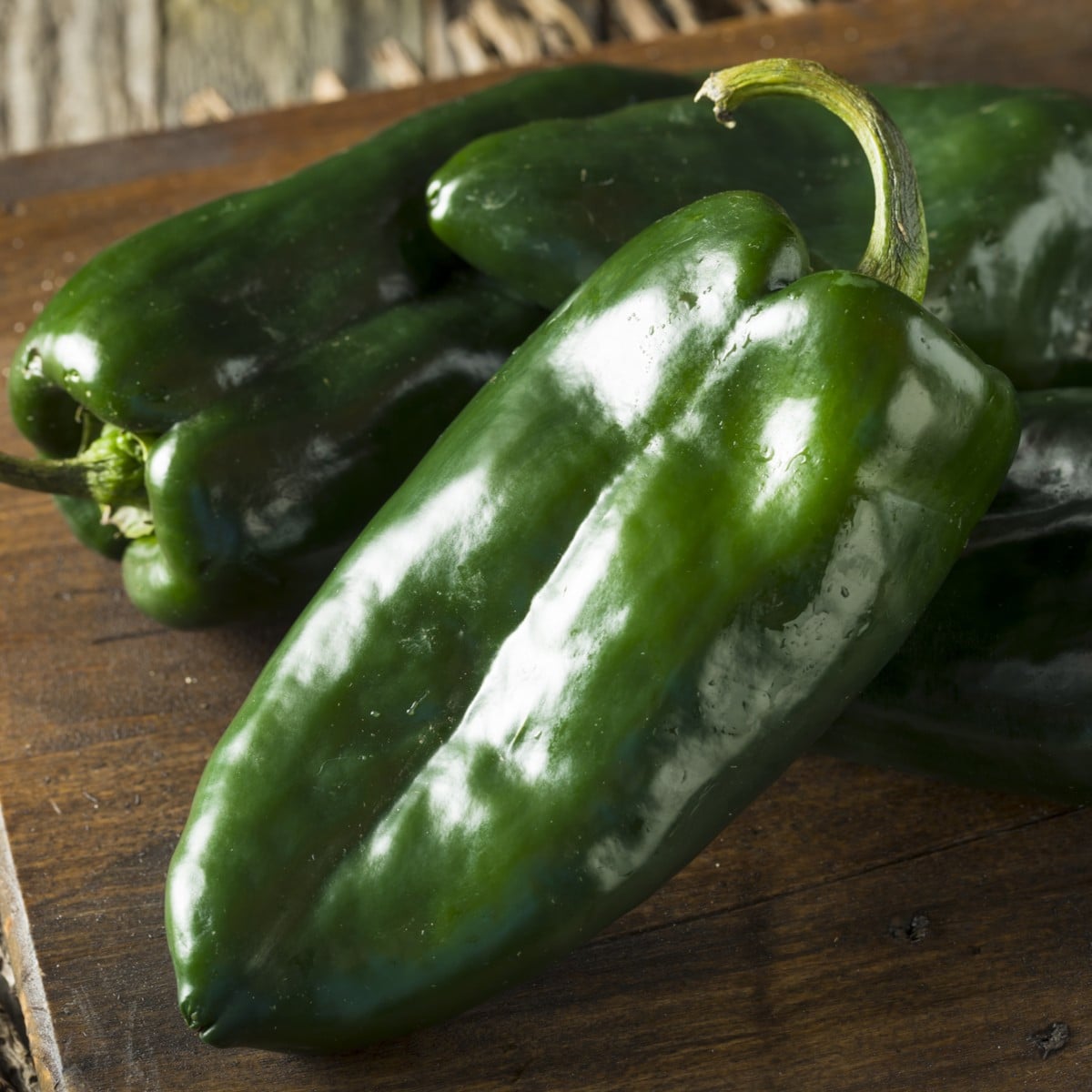 Chilli Poblano - Capsicum chinense - semena - 6 ks