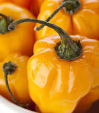 Chilli Scotch bonnet oranžové - Capsicum chinense - semena chilli - 6 ks